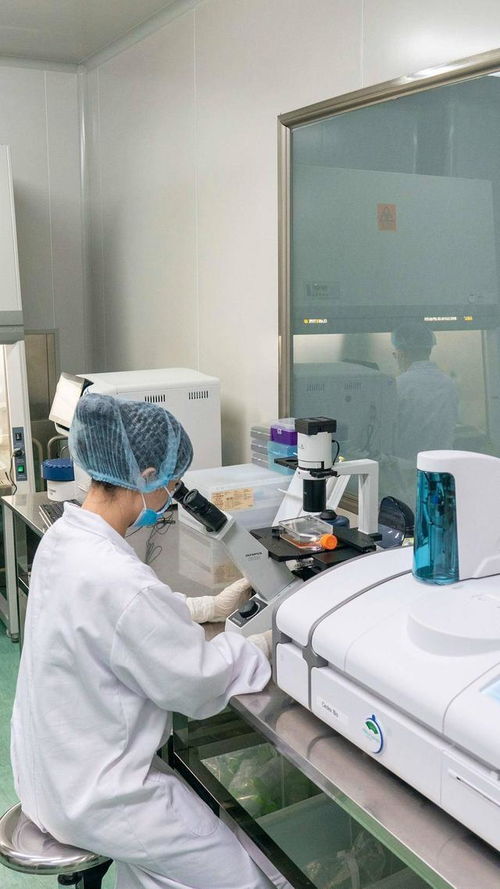 與 新 相遇丨眼科罕見藥有望明年上市