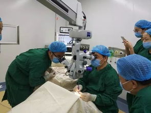 今天起,荊州人在自家門口就可以享受一流的眼科診療服務(wù)啦